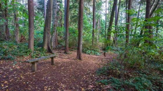 Southwest County Olympic View Park