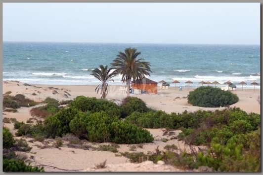 Playa de La Marina