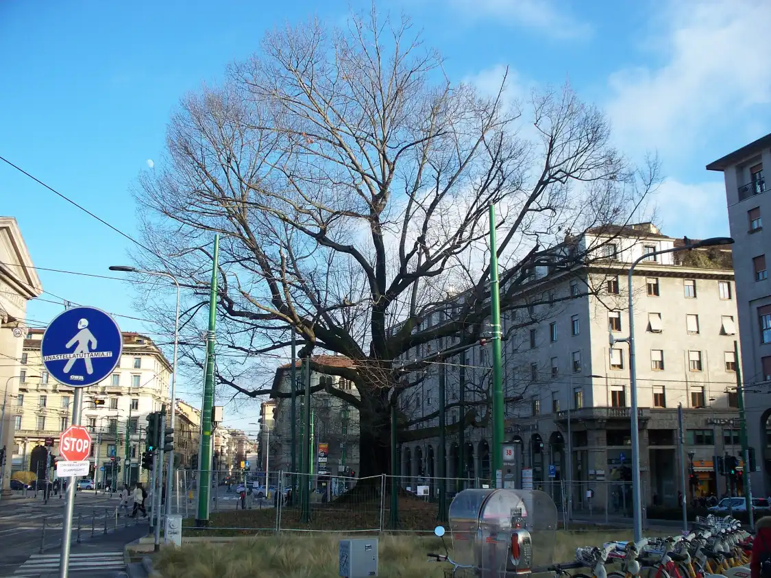 Quercia Storica di Piazza XXIV Maggio附近的飯店