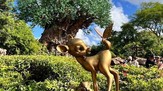 Avatar Flight of Passage