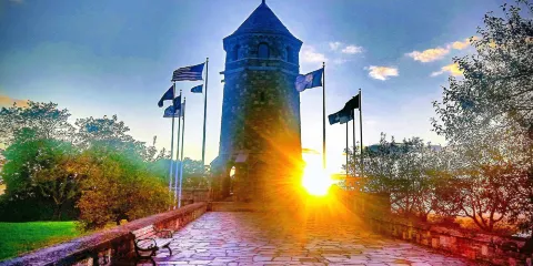 Henry Park & Fox Hill Tower