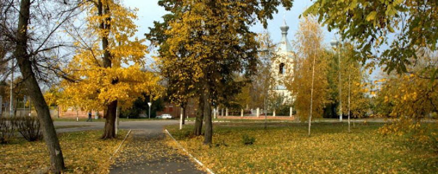 City park them. TH Shevchenko