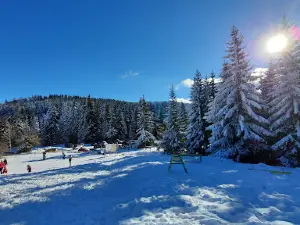 Ophelii Ski Center