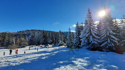 Ophelii Ski Center