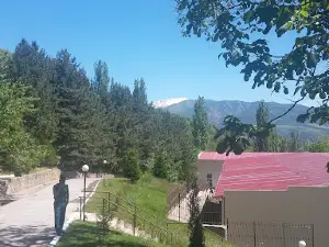 Sokol