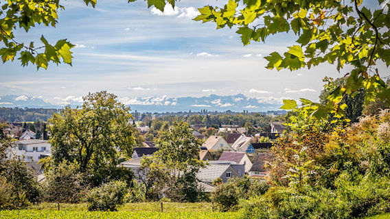 Aulendorf