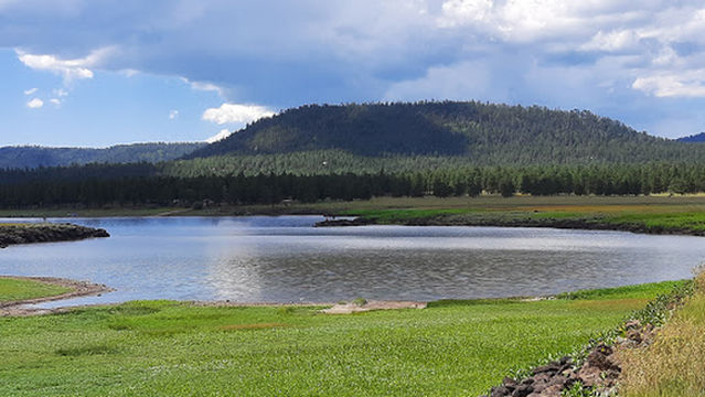 Benny Creek Campground