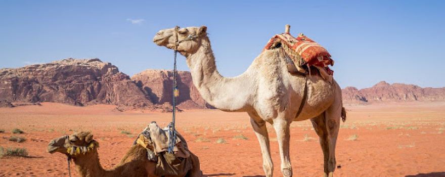 Bedouin Nomads Adventure