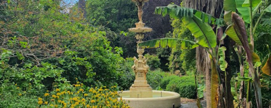 Friends of Geelong Botanic Gardens
