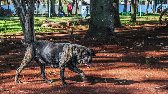 Parque Ecológico "Ernesto Baltieri"