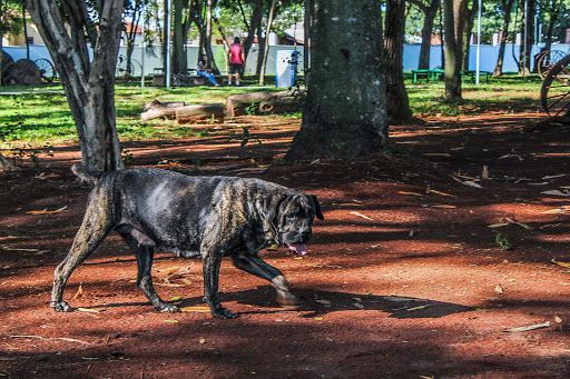 Parque Ecológico "Ernesto Baltieri"