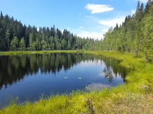Kolvananuuro Nature Trail