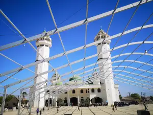 Grande Mosquée Léona Niassène
