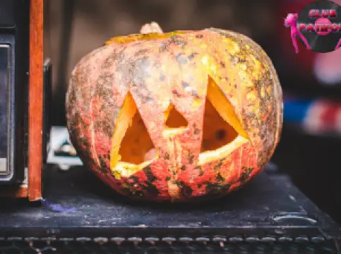 Lounge club "Patifon"