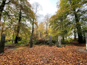 National Trust - Fyne Court