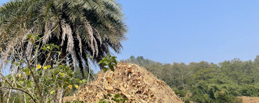 View point