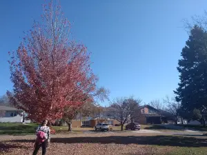 McNish Disc Golf Park
