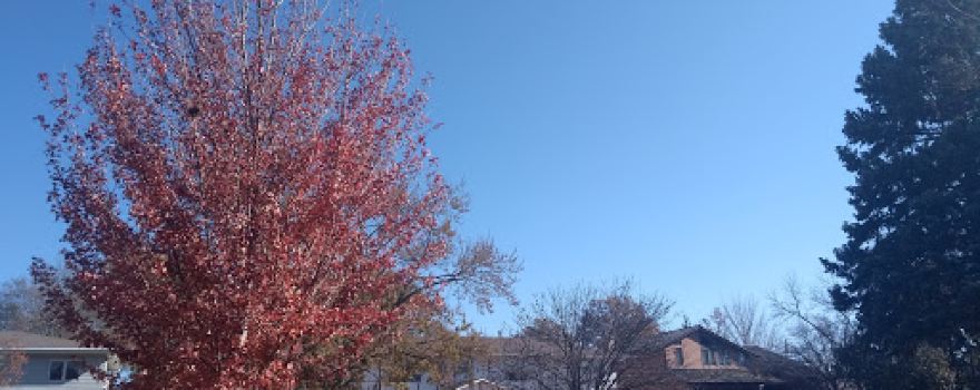 McNish Disc Golf Park