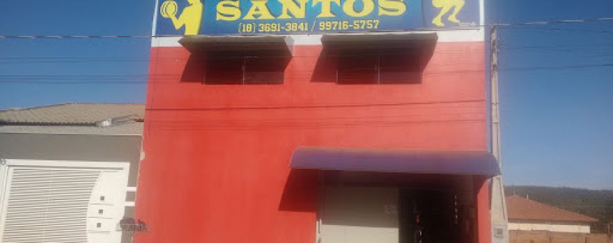 Santos Academia