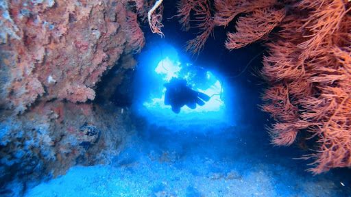 Subsurface Fiji