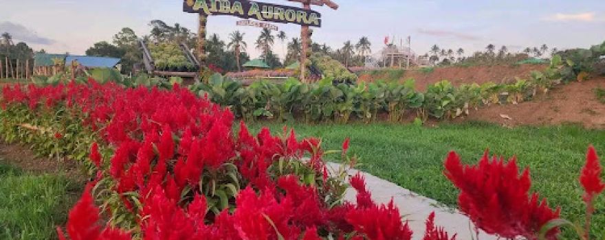 AIDA AURORA NATURES FARM