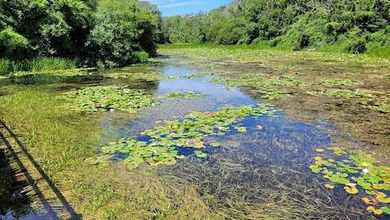 National Trust - Stackpole