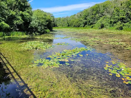 National Trust - Stackpole