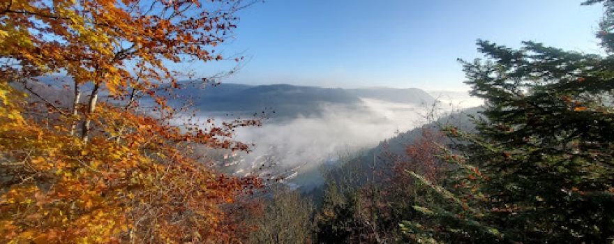 Burgruine Granegg