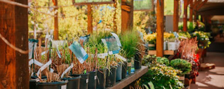 Aspen Ridge Lawn & Landscape - The Plant Shop