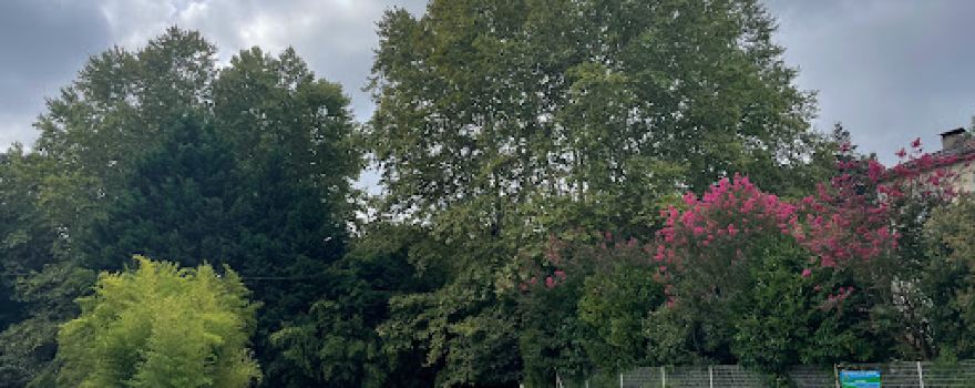 Camping l'étang d'Ardy - Camping Dax