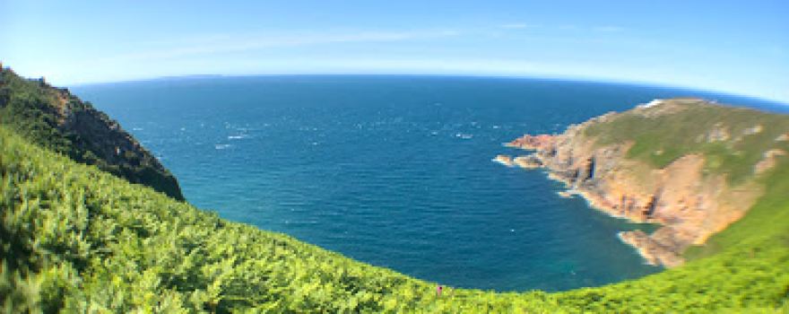 Sorel Point