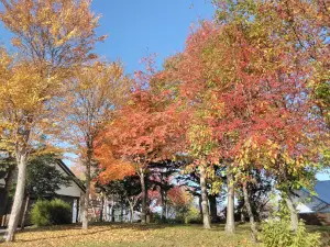Furusato Park