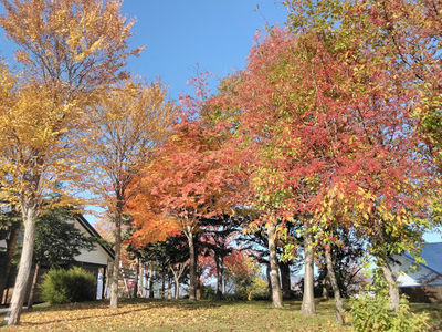 Furusato Park