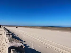 Baie d'Authie
