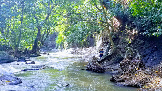 El Valle de Anton