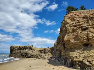 Pokeshaw Beach