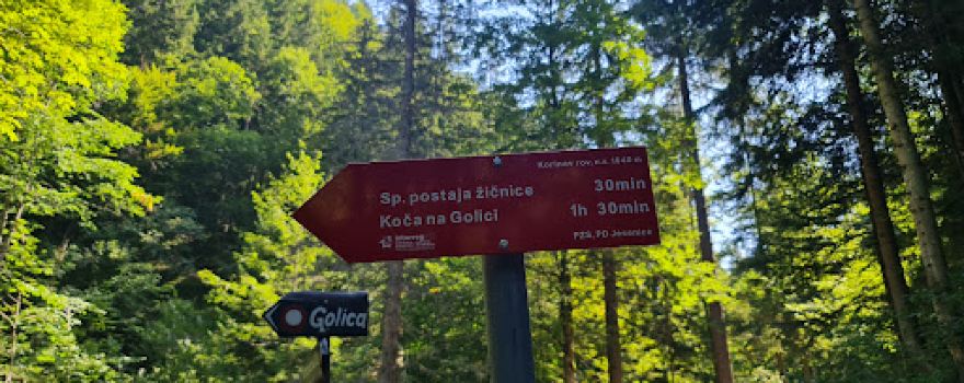 Naravna sankaška proga Savske jame