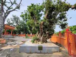 Basuli Devi Mandir