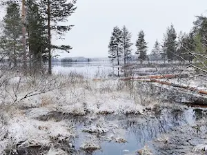 Sammakkotammi, Tiilikkajarvi national park