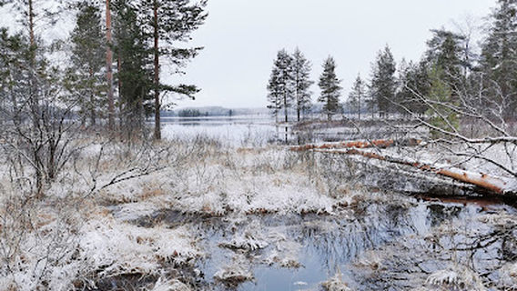 Sammakkotammi, Tiilikkajarvi national park