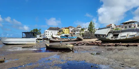 The Donkey Sanctuary