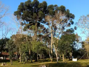 Sede Campestre CRC