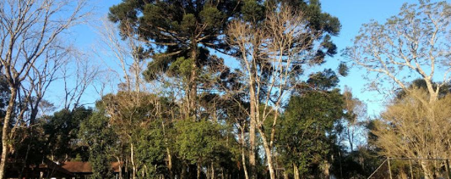 Sede Campestre CRC
