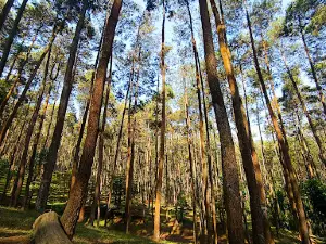 Batu Kuda Manglayang Campground