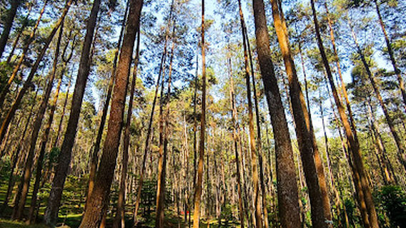 Batu Kuda Manglayang Campground