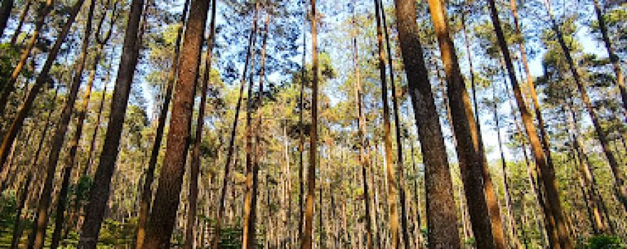 Batu Kuda Manglayang Campground