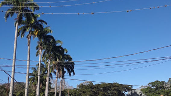 Leonor Bernabo. Rio Yurubi Park