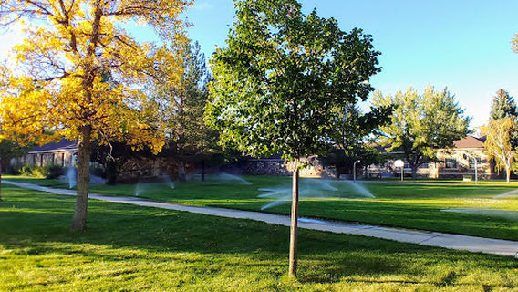 Stewart Indian School Trail