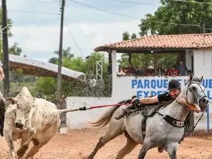 Parque Expedito Galvão