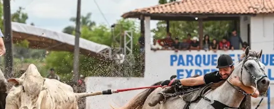 Parque Expedito Galvão